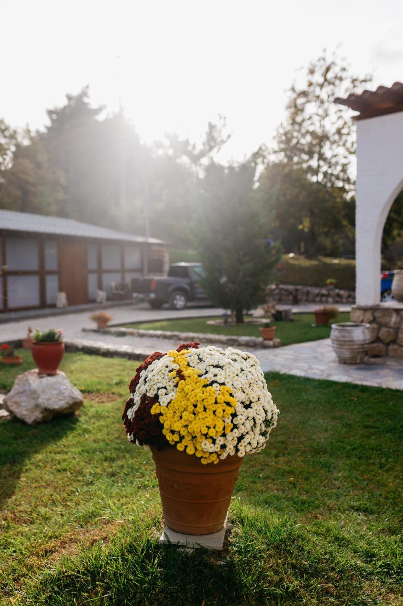 Apolithomeno Dasos Holiday Villas Near Alexandroupolis Lefkimmi  Extérieur photo